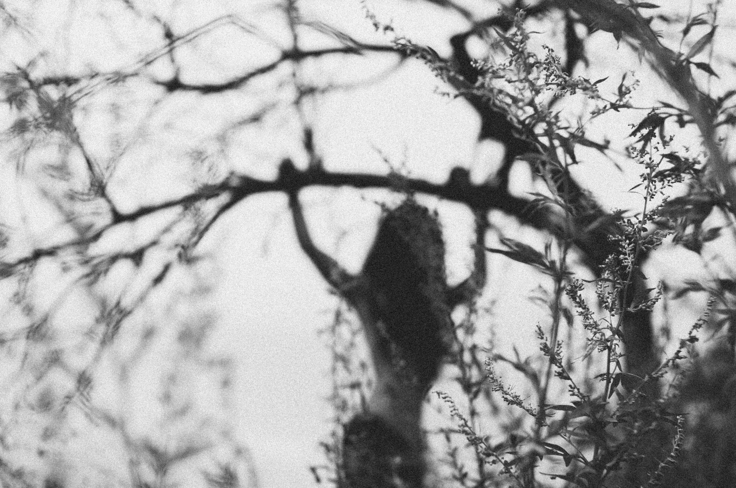 魔性の女って言われるけど、自覚がないあなたへ